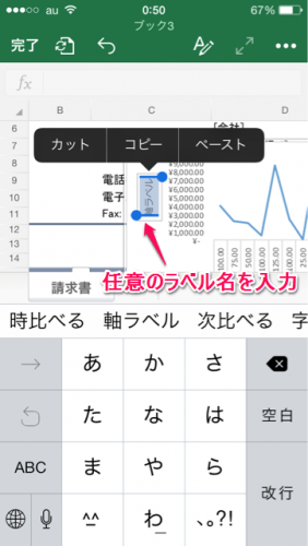 グラフ軸ラベル設定④