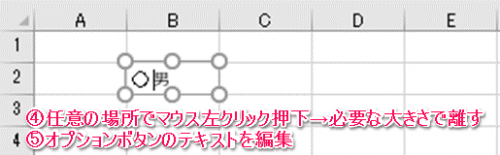 オプションボタン・グループボックス設置②